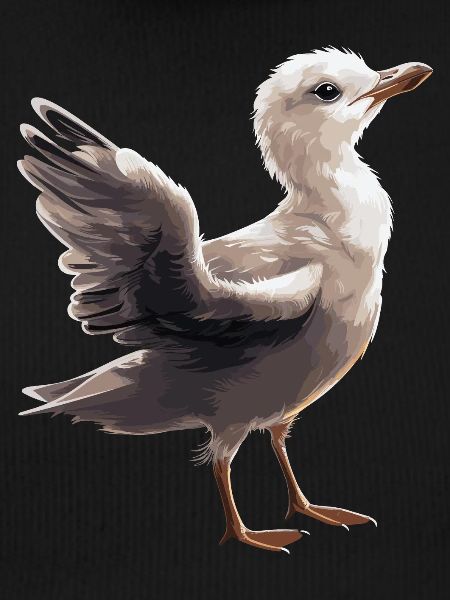 Bébé mouette Seabird