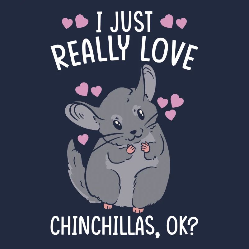 Chinchilla Gift