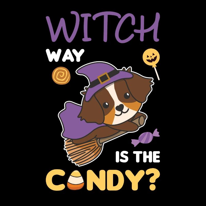 Australian Shepherd Hexen Witch way is the candy