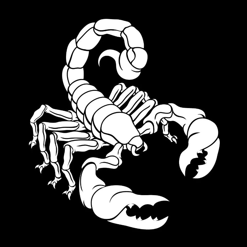 Belle idée de cadeau drôle de Scorpion pour les proches