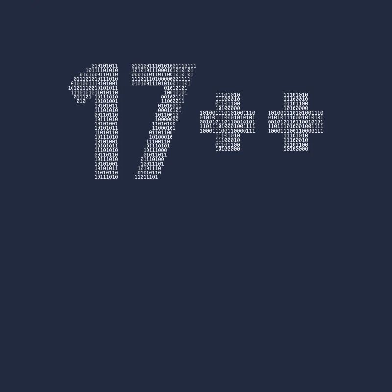 17++ Programmierer Developer Coder 18. Geburtstag