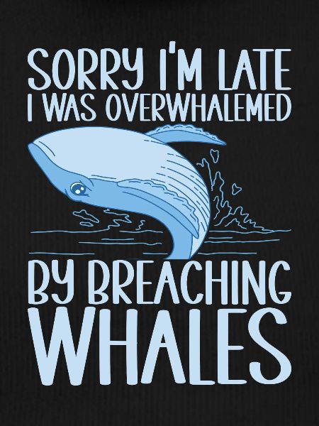 Whales Whale