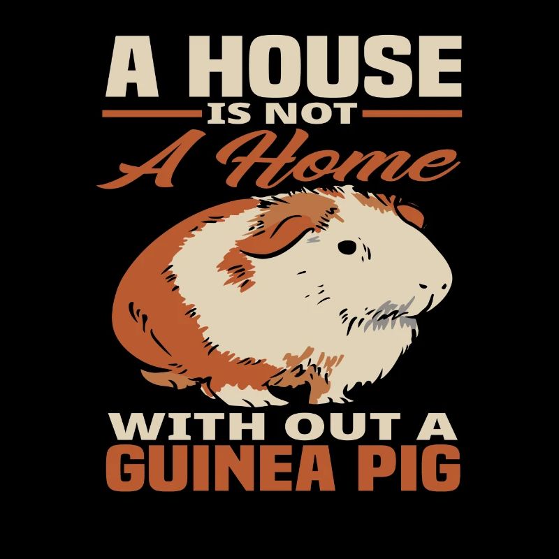 Cochon d’Inde maison animal de compagnie cadeau