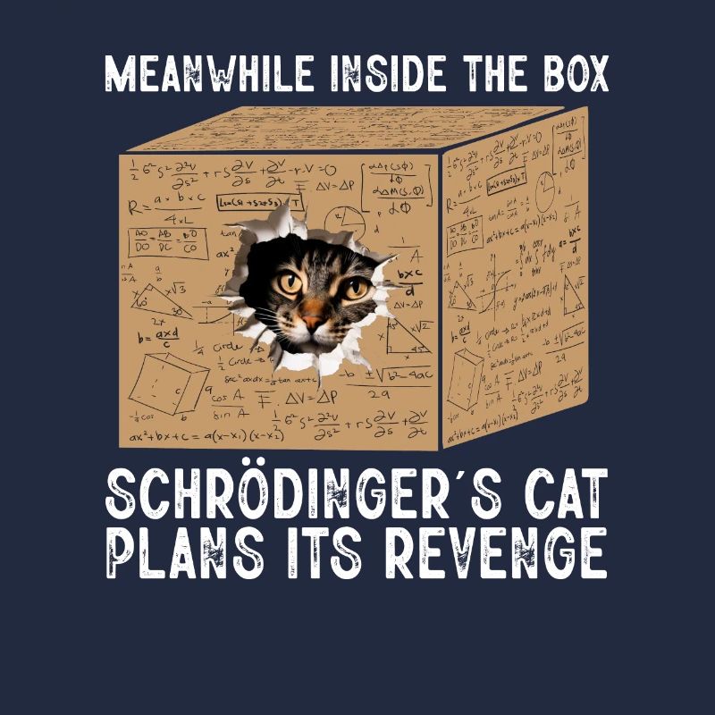 Meanwhile Inside The Box