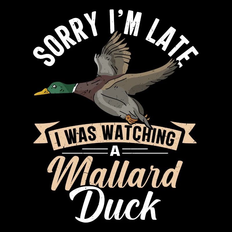 Duck Mallard