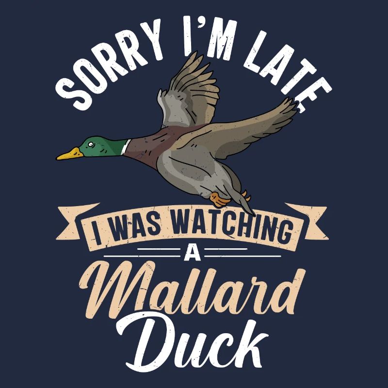 Duck Mallard
