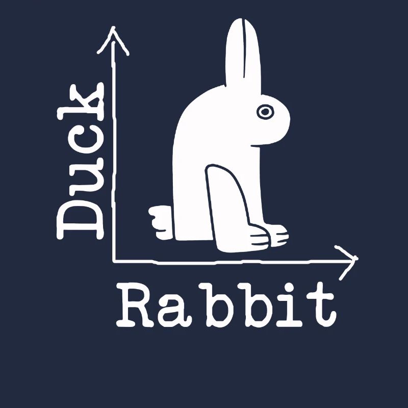 Wittgensteins Rabbit Duck Illusion