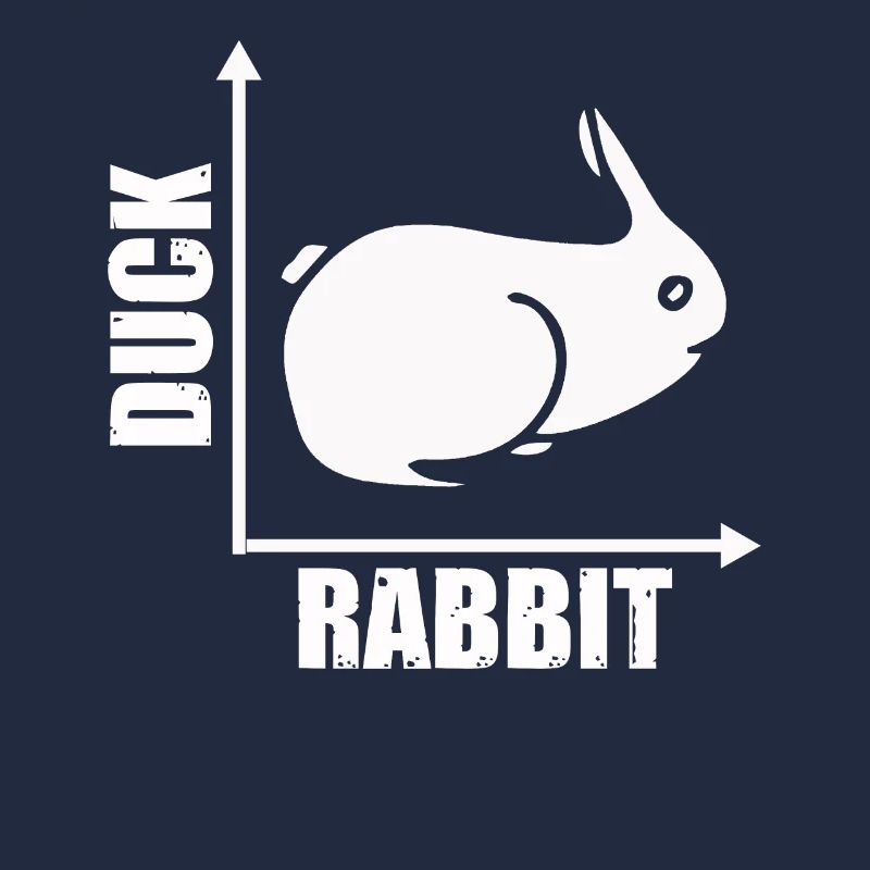 Wittgensteins Rabbit Duck Illusion