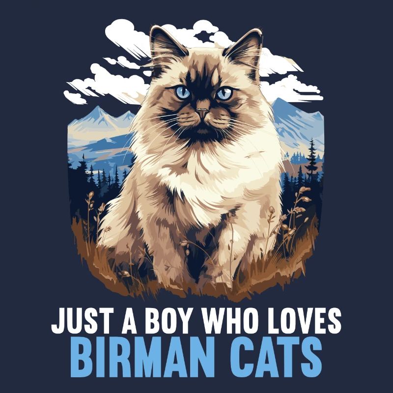 Birman Cat Birma Katze