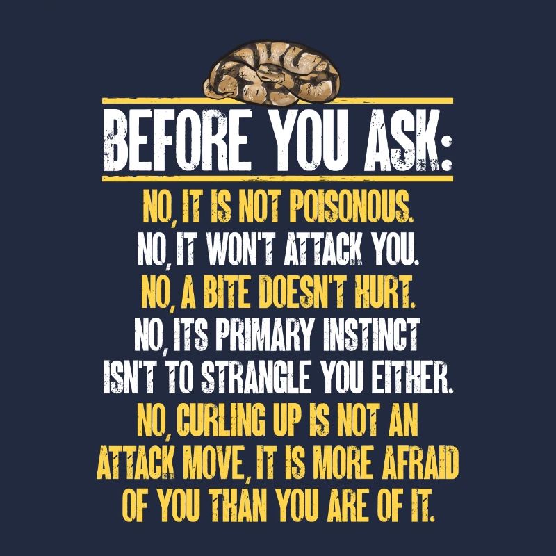 Ball Python Snake King Python