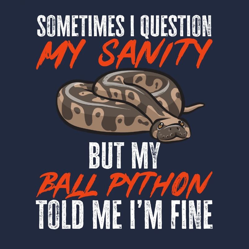 Ball Python Schlange Königspython