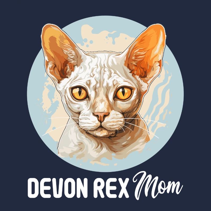 Chaton Devon Rex Chat Devon Rex