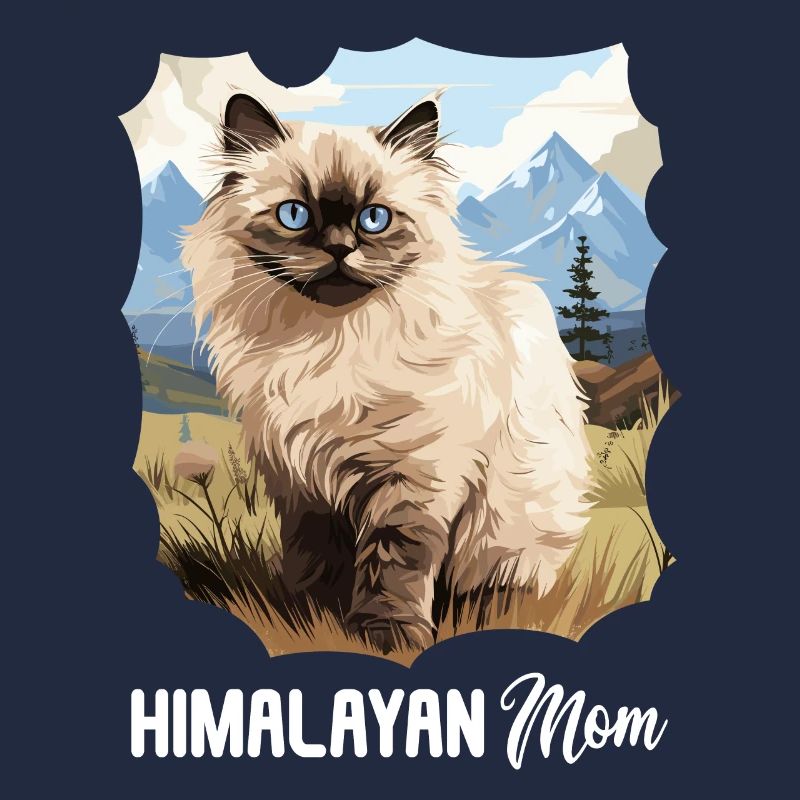 Chat de l’Himalaya Colourpoint Katze