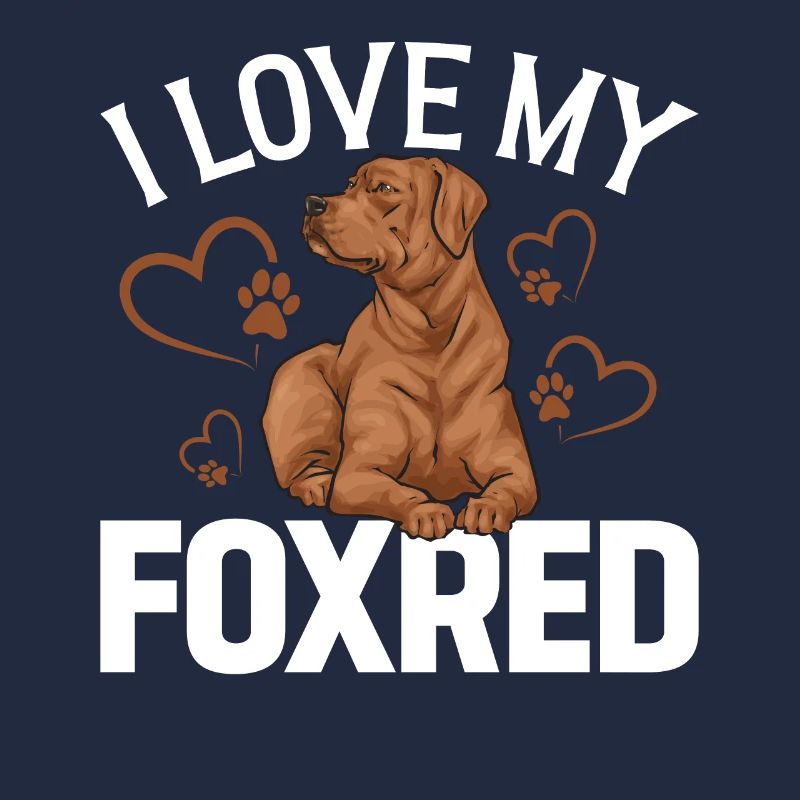 Fuchsroter Labrador Retriever Fox Red Labrador