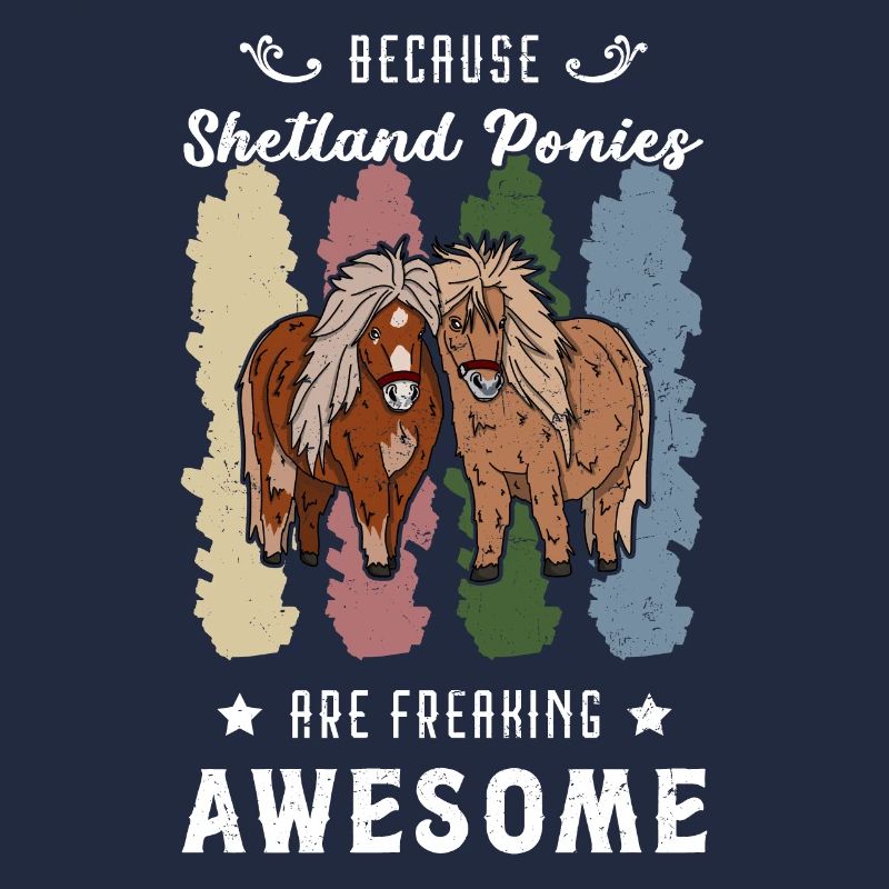 Pferde Pony Shetland Shetty Mädchen Reiterin