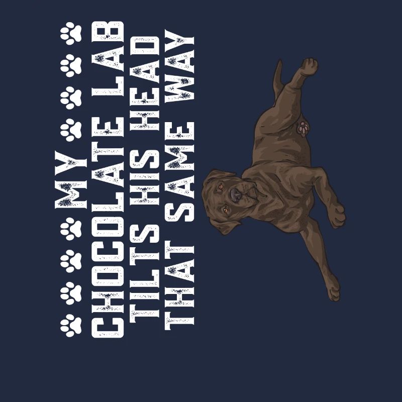Schoko Brauner Labrador Retriever Hund