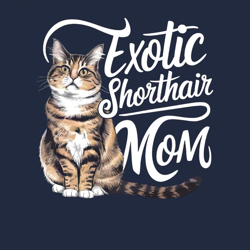 Katze Exotisch Kurzhaar Geschenk