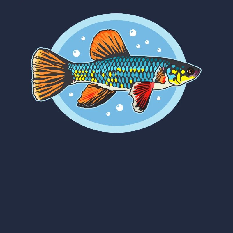 Killifish Egg-laying Toothcarp Fish Gifts