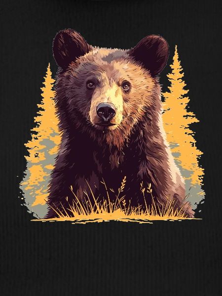 Bear Bären Bär