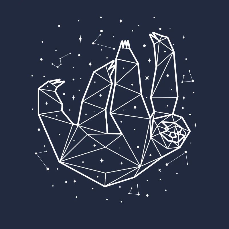 Sternbild Sloth Constellation Pilosa Folivora