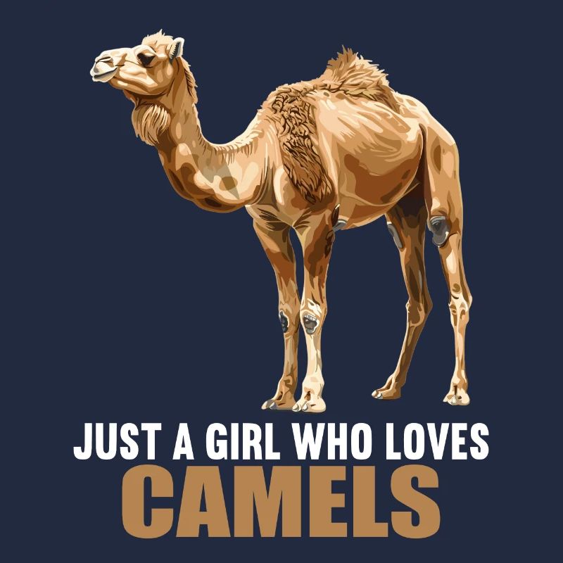 Chameau Kamele Kamel