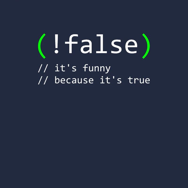 Programmierer Humor false true funny Nerd Geek