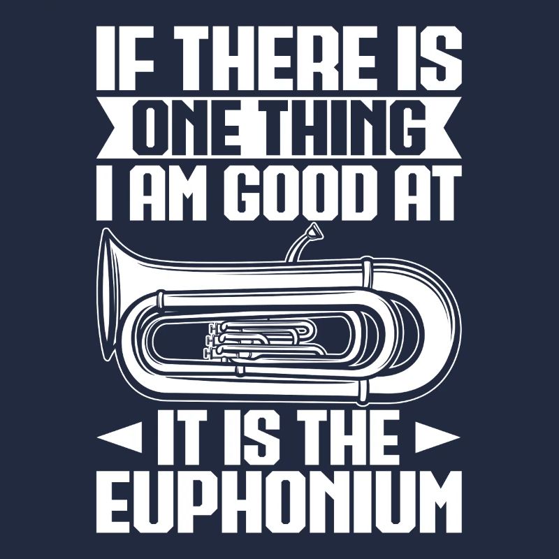 Baritone Player One Thing I Am Good Euphonium