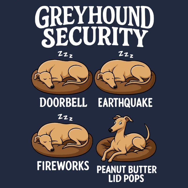 Windhund Greyhound