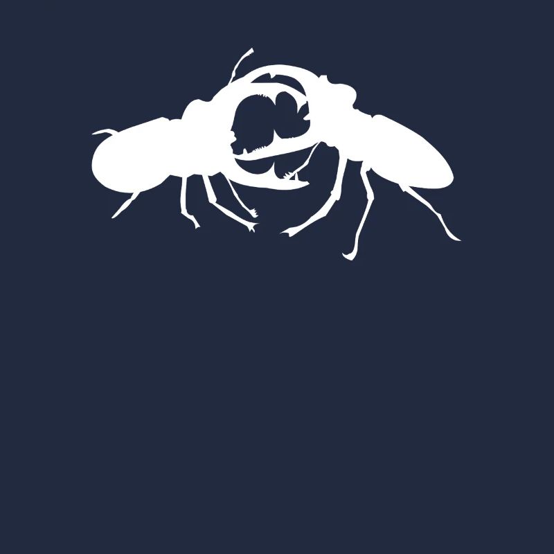 Hirschkäfer Insekten Kampf