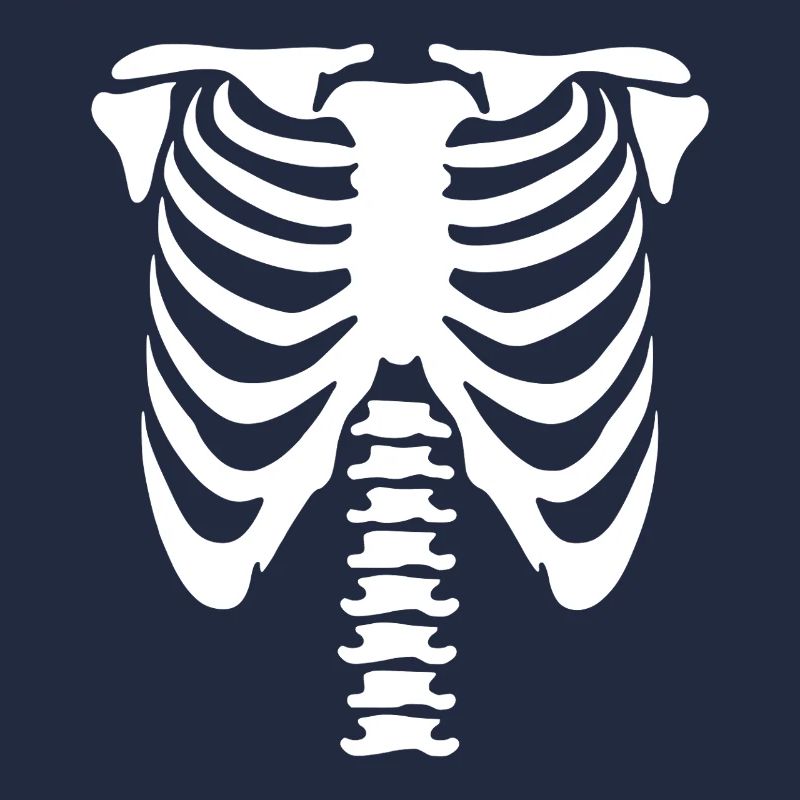 Skelett-Torso