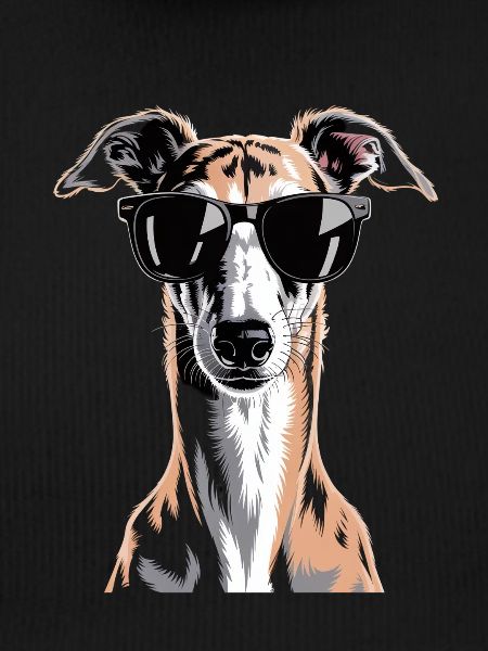 Greyhound Windhund