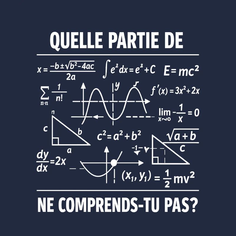 Math Teacher Humor Gift Funny Mathematician