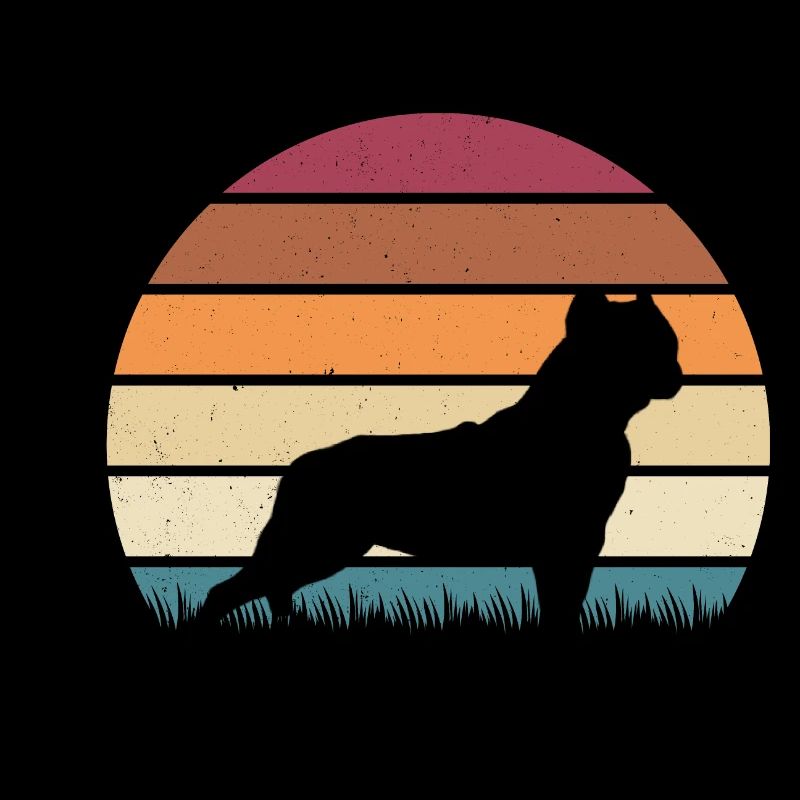 American Bully Vintage Premium