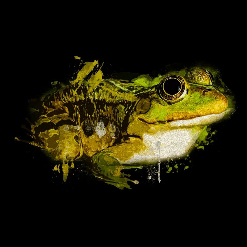 Frogs, Toad, Tree Frog, Frog