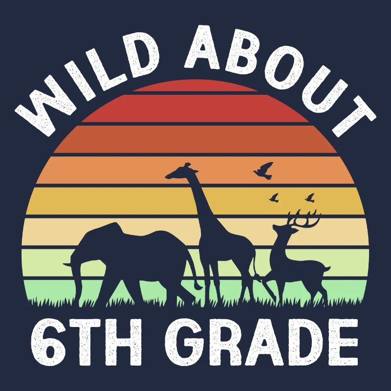 6th Grade