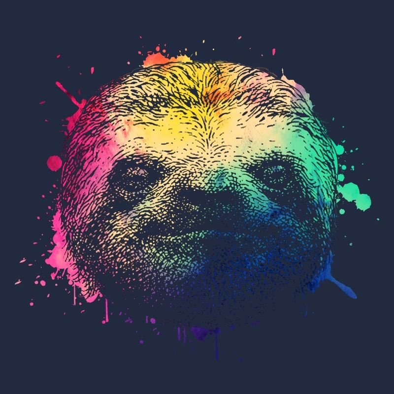 Colorful Sloth Sloth