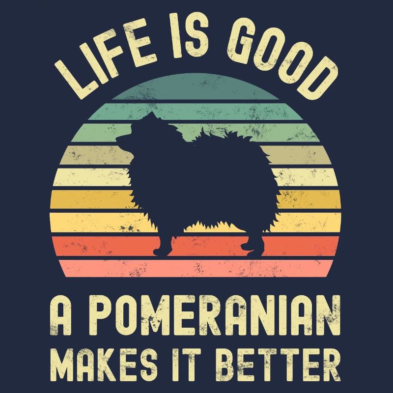 Hund Pomeranian