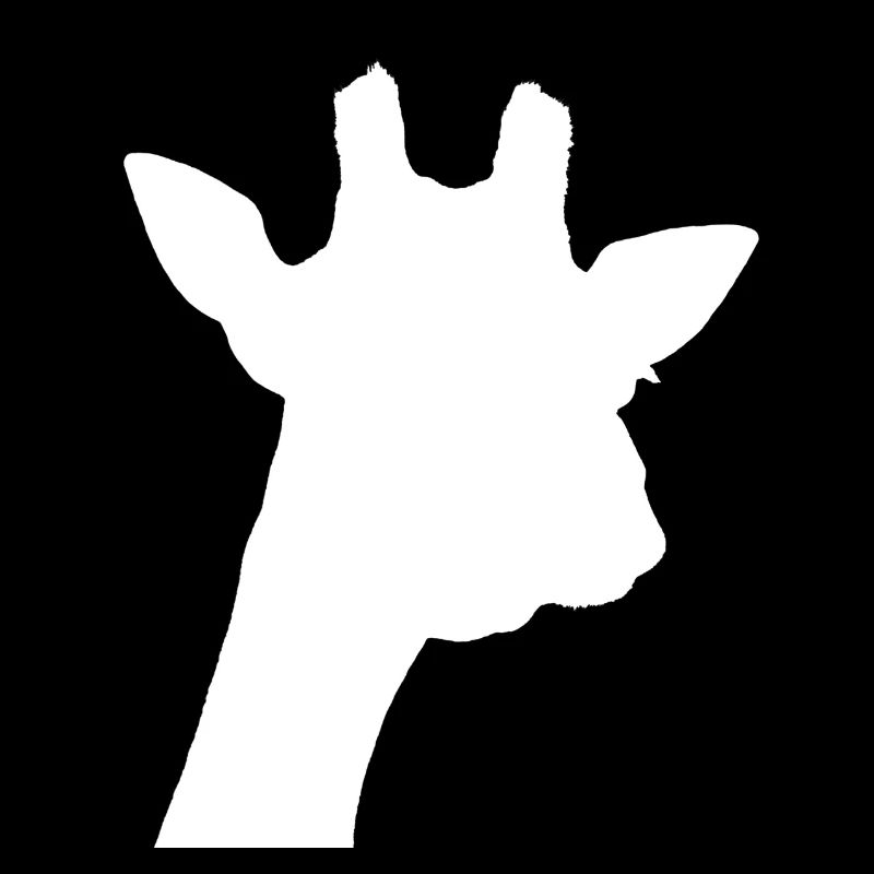 giraffe blanc