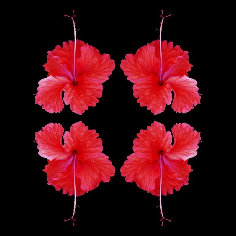 Fleurs rouges sauvage