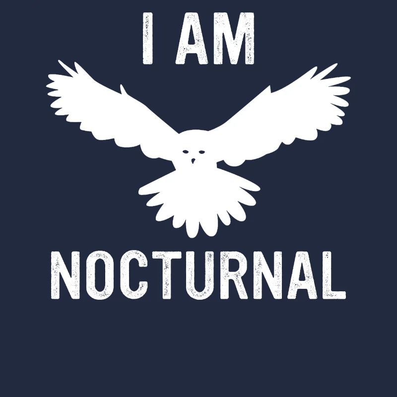 Eule Vogel Tier Eulen