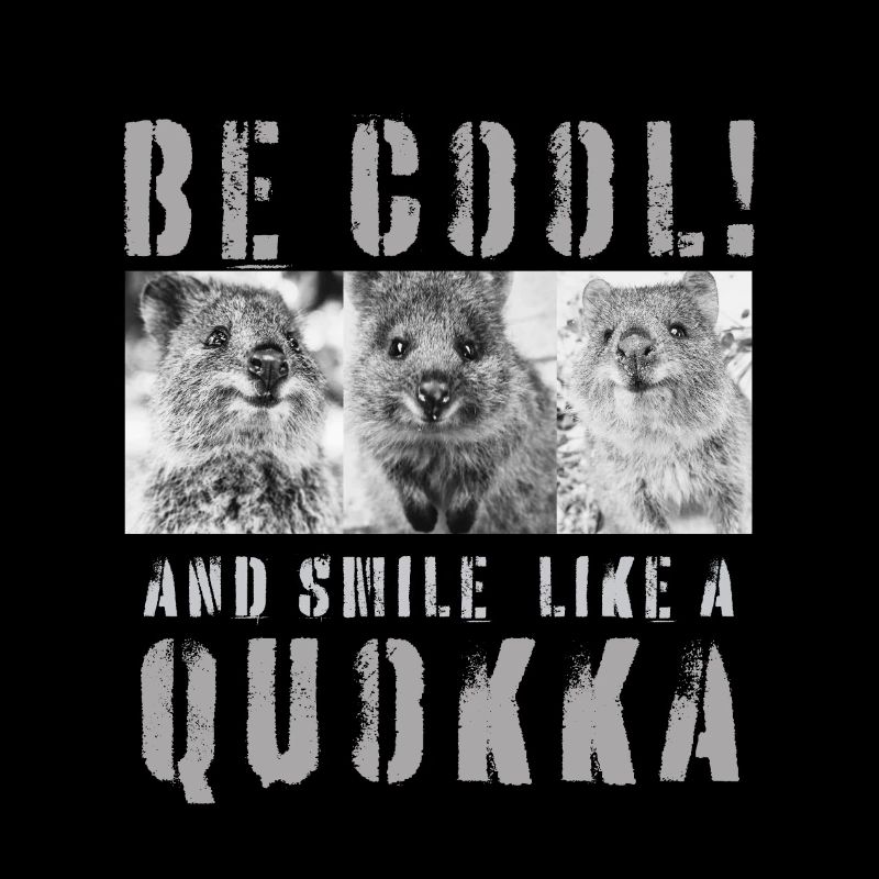 Soyez cool et souriez comme un Quokka (2)