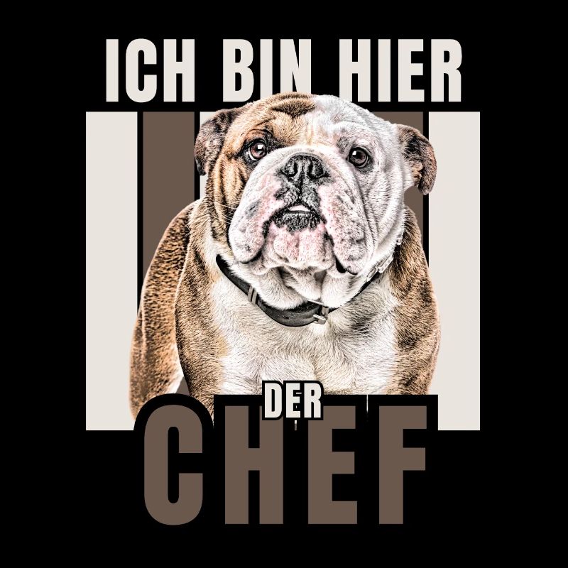 ICH BIN HIER DER CHEF Hund HUNDE Bullogge