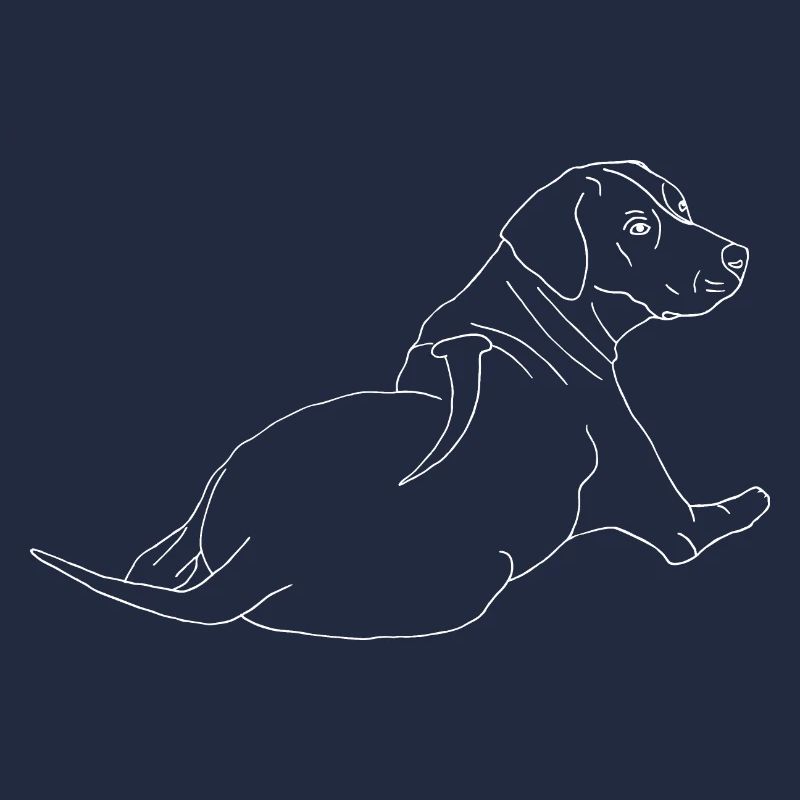 Rhodesian Ridgeback