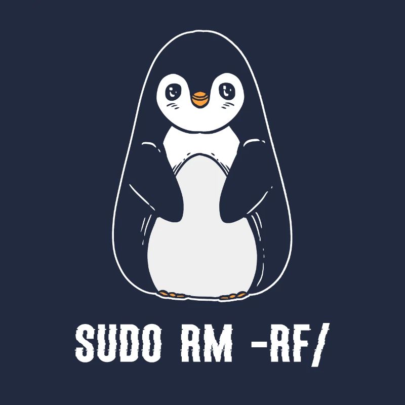 sudo rm rf / Programmeur informatique Linux