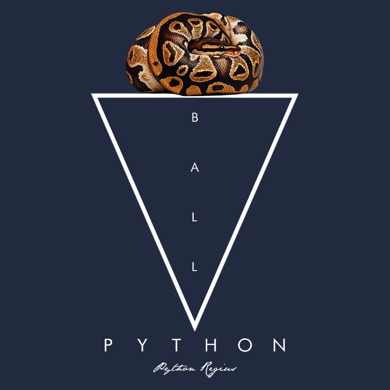 Ball Python géométrique moderne gardien de serpent
