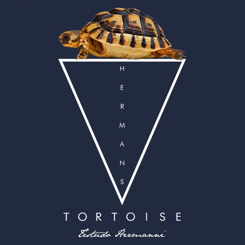 Hermans Tortoise Keeper Geometric