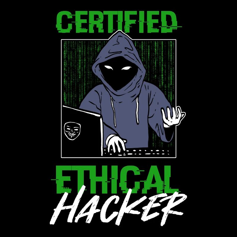 Certified Ethical Hacker Hacking Network Developer