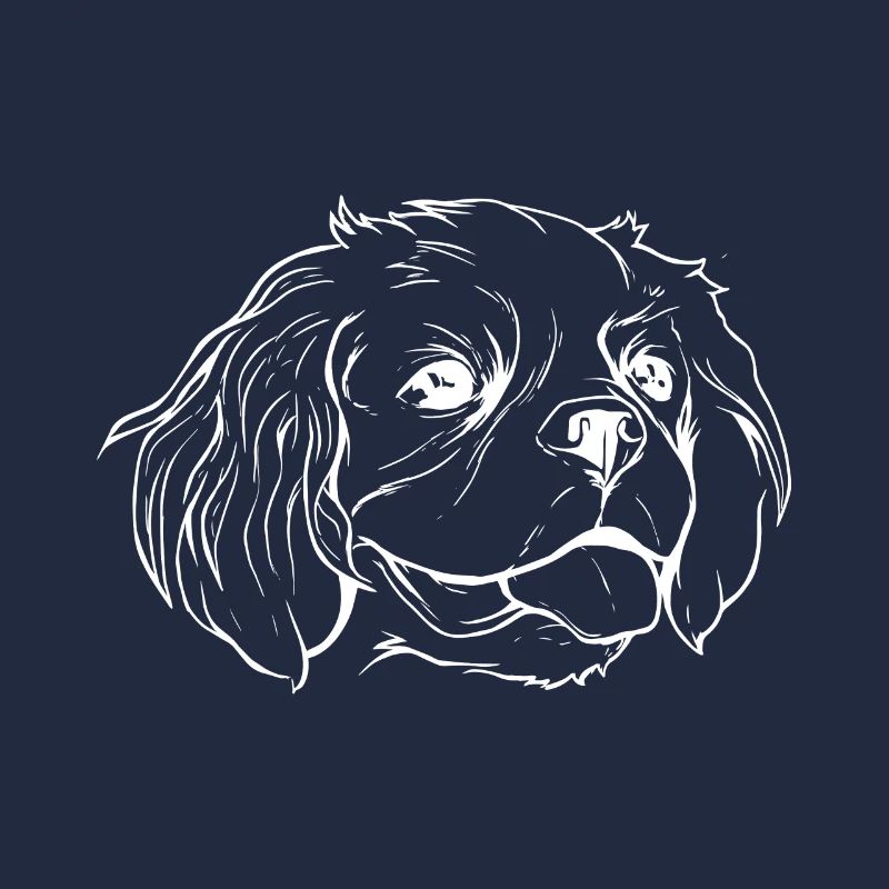 Cavalier Hund