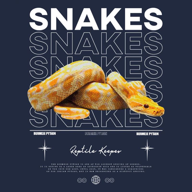 Burmese Python Modern Streetwear Reptile Keeper