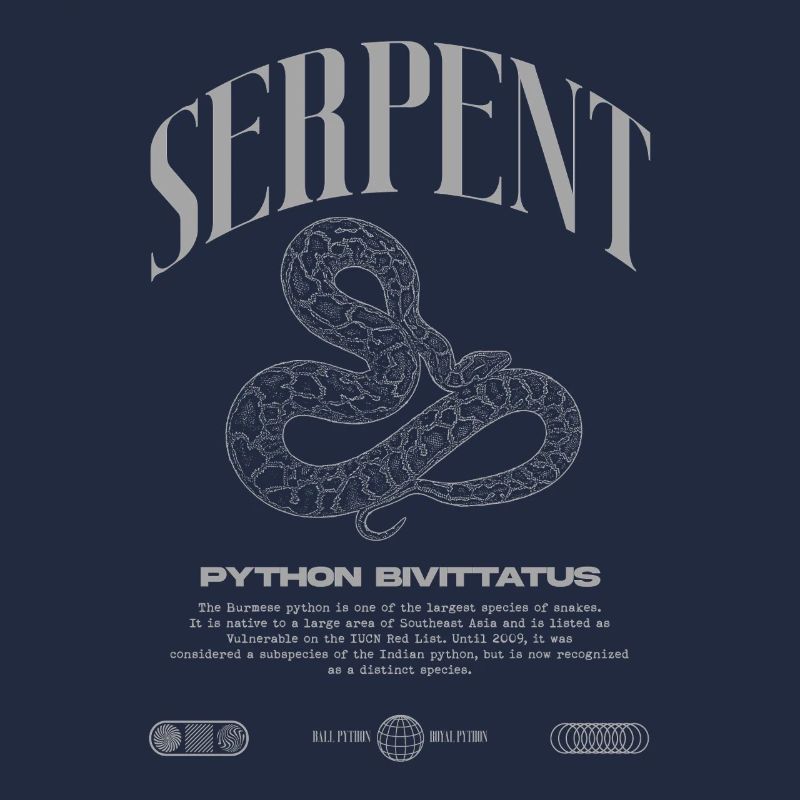 Burmese Python Modern Reptile Keeper Streetwear
